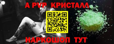 спиды Гагарин