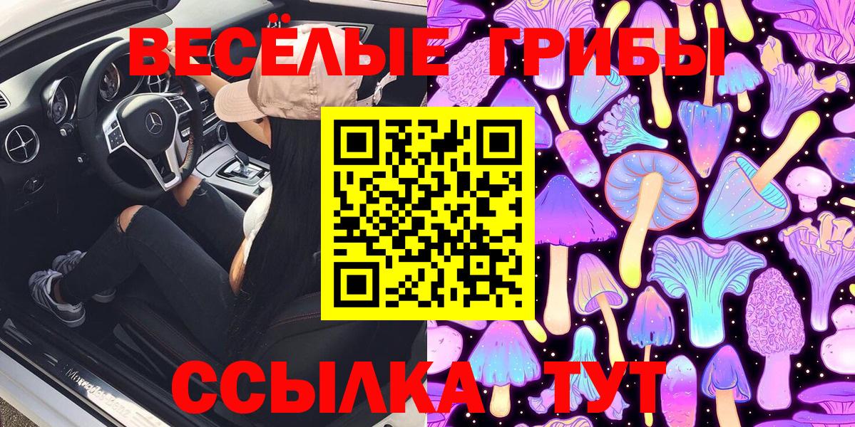 Губаха  закладка  Вход с VPN  Галлюциногенные грибы Magic Shrooms  Галлюциногенные грибы прущие грибы 