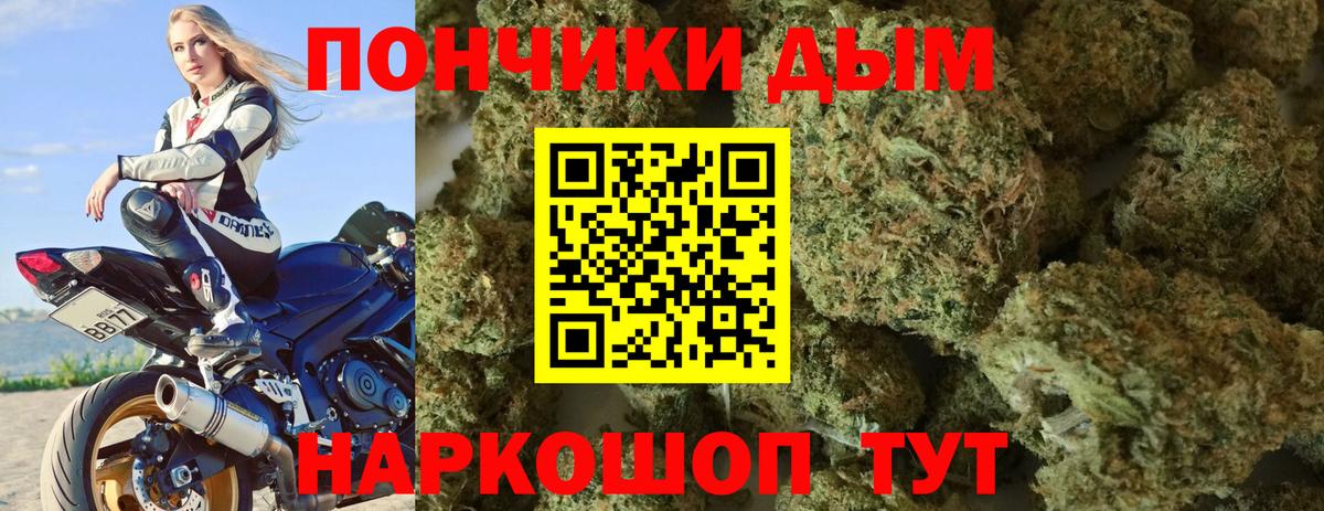 Канабис индика  Вход с VPN  Марихуана тримм  Губаха  Конопля SATIVA & INDICA  Бошки марихуана Amnesia 